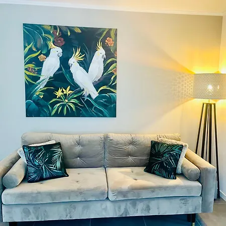 Appartement De Standing Proche Centre Ville Et Gare Mulhouse Exterior photo